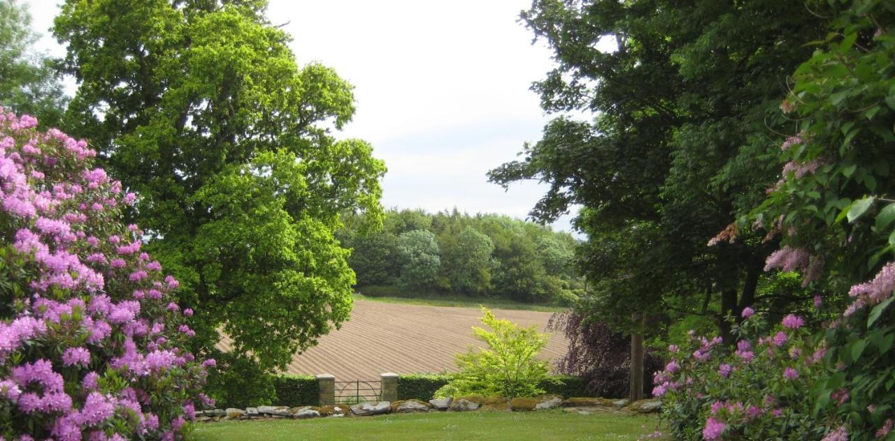Ballydugan Country House Downpatrick Bagian luar foto