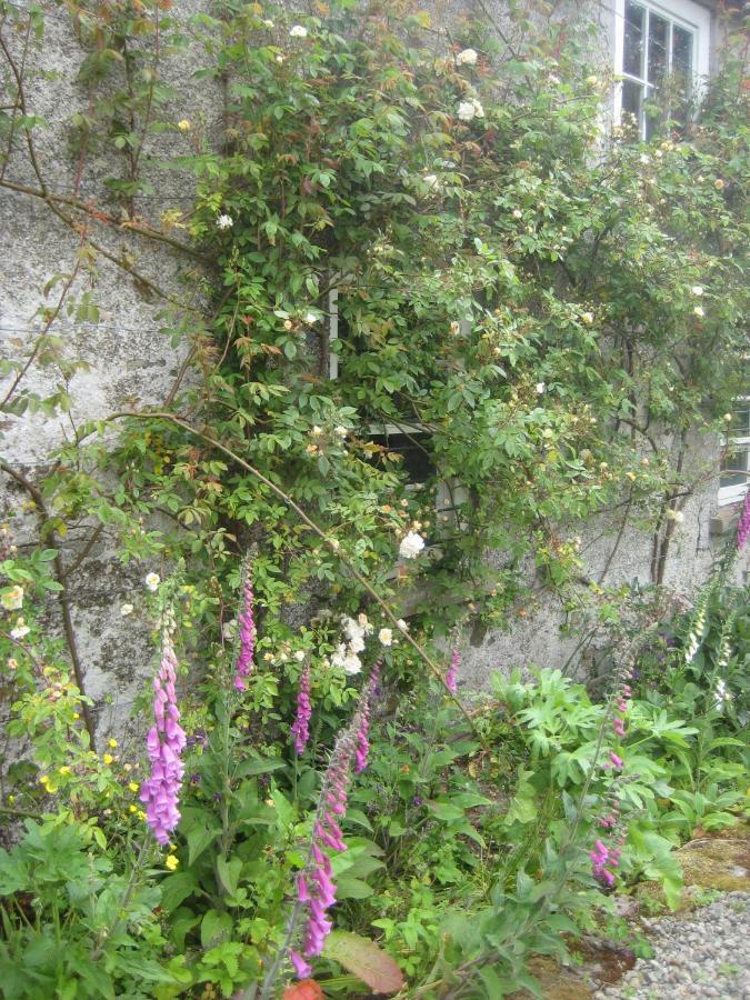 Ballydugan Country House Downpatrick Bagian luar foto