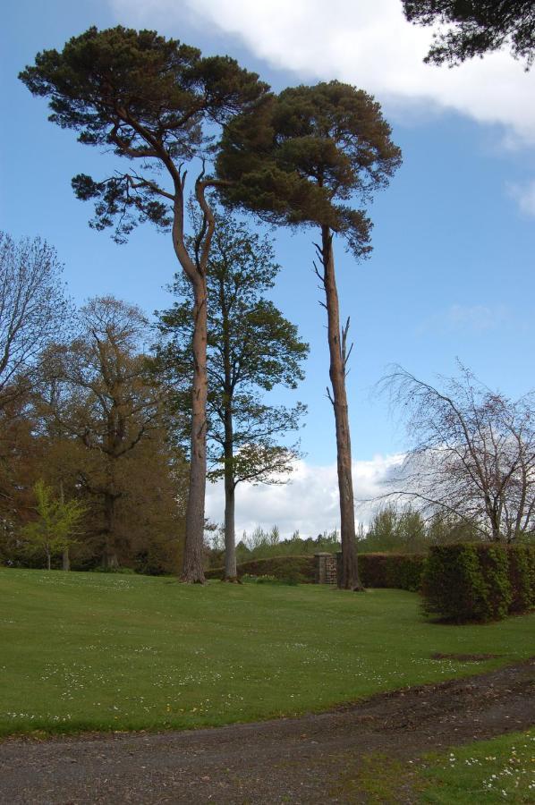 Ballydugan Country House Downpatrick Bagian luar foto