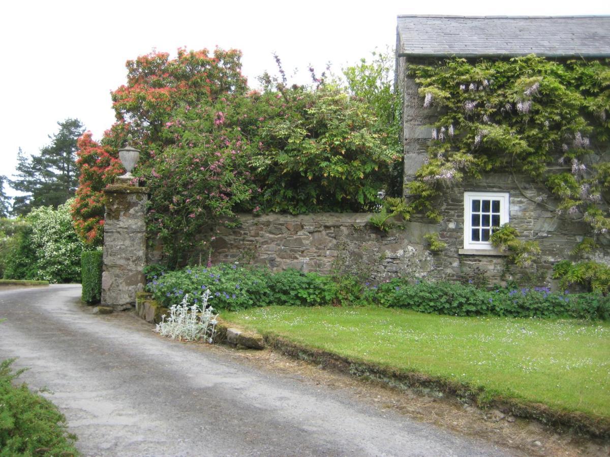 Ballydugan Country House Downpatrick Bagian luar foto