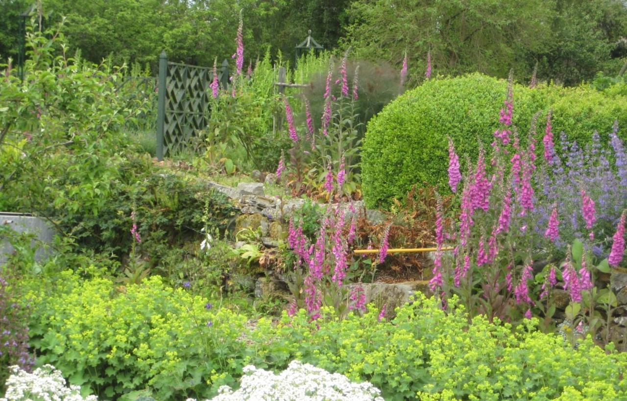 Ballydugan Country House Downpatrick Bagian luar foto